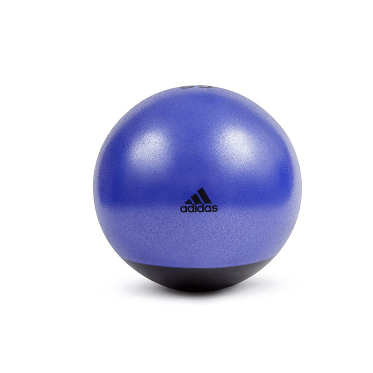 Adidas Premium Gym Ball -65cm